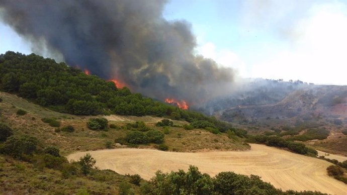 Archivo - Imagen de archivo del incendio del Monte Yerga en 2022