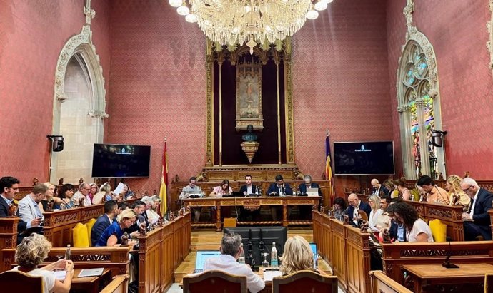 Pleno del Consell de Mallorca.