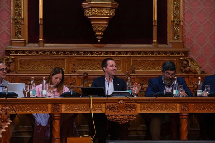 Pleno del Consell de Mallorca