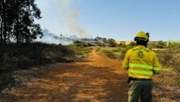 Incendio en La Esperanza, en el municipio de El Rosario, ocurrido el pasado 14 de julio