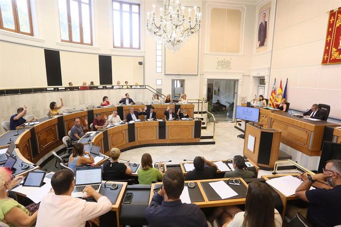 Pleno Diputación Alicante