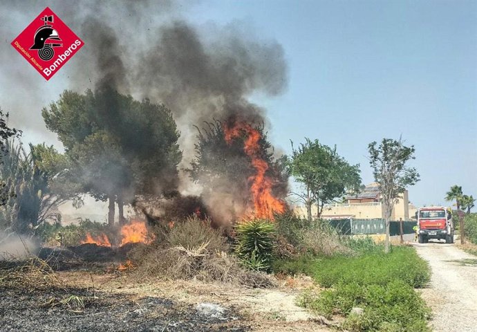 Extingixen un incendi de canyes junt amb el riu Segura a una pedania d'Oriola