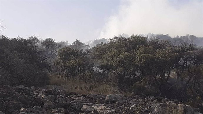 Imagen de la zona incendiada en Iznalloz