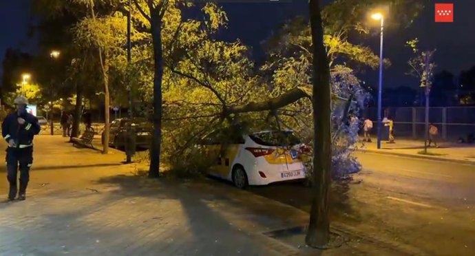 Bomberos de la Comunidad de Madrid atienden incidencias ocasionadas por fuerte viento.