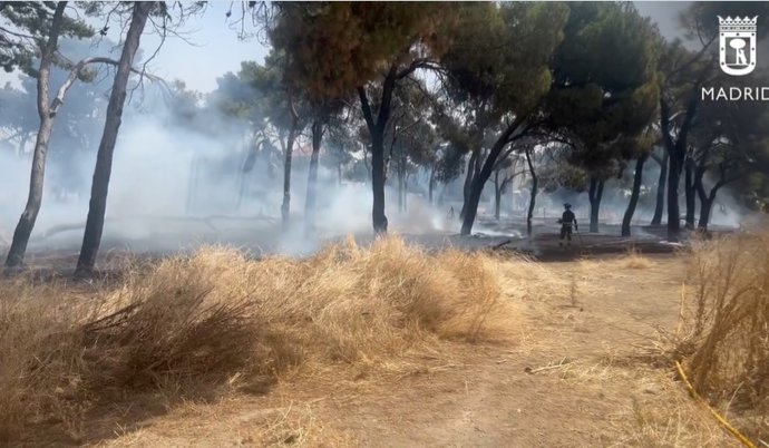 Vídeo de la noticia
