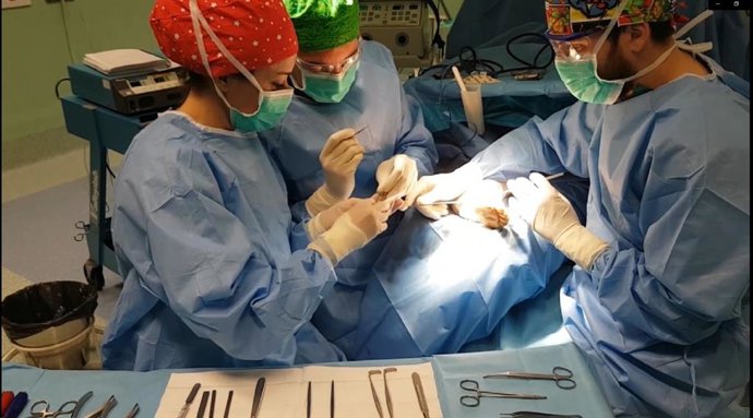 Cirugía en el hospital de Guadix.