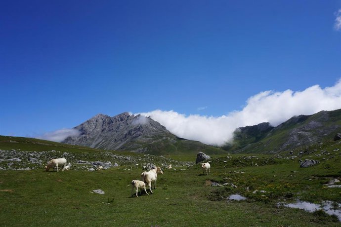 Archivo - Picos de Europa.- Archivo