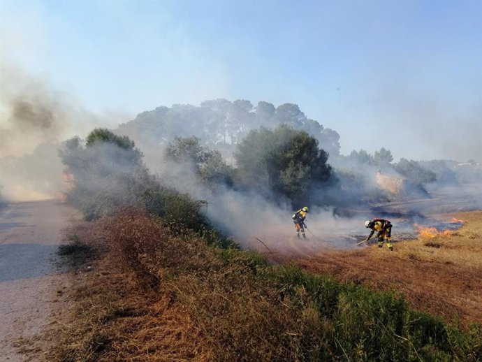 Archivo - Incendio agrícola en la carretera de Muro.