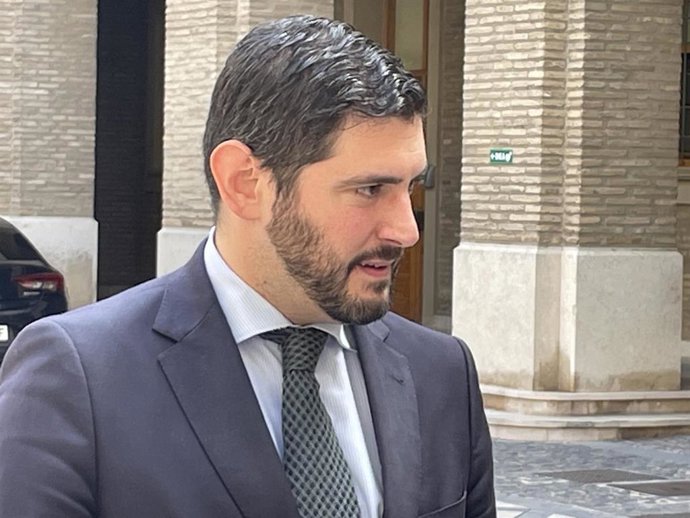 Archivo - El portavoz de VOX en las Cortes de Aragón, Alejandro Nolasco.