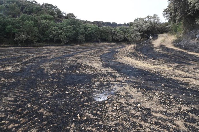 Zona quemada durante el incendio.