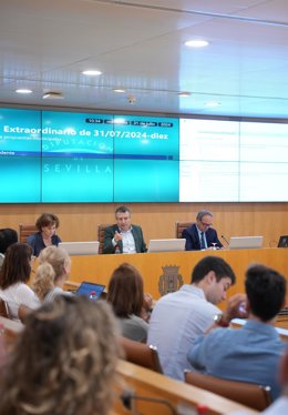 Pleno extraordinario de la Diputación para el plan "Sevilla 107"