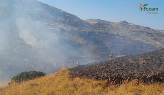 Incendio forestal en Valverdejo.