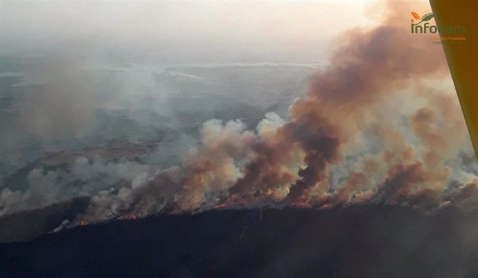 Incendio forestal declarado en Valverdejo.