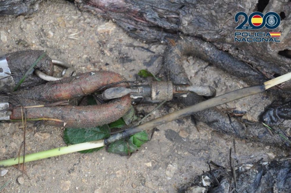 Los dos perros fueron encontrados muertos en la acequía y atados entre sí