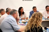 Andalucía urge al Gobierno a declarar la emergencia migratoria ante el "colapso sin respuesta" en la atención a menores