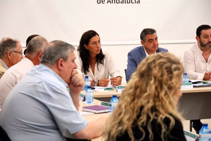 La consejera de Inclusión Social, Juventud, Familias e Igualdad, Loles López, este miércoles, en el Foro Andaluz para la Integración de Personas de Origen Migrante.