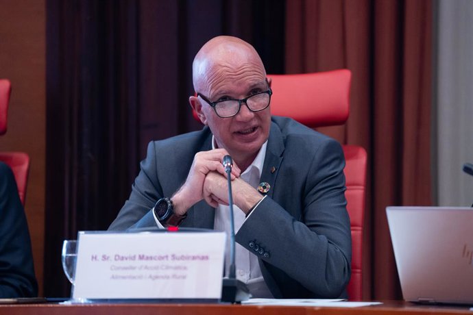 Archivo - El conseller de Acción Climática, Alimentación y Agenda Rural, David Mascort, en una imagen de archivo.