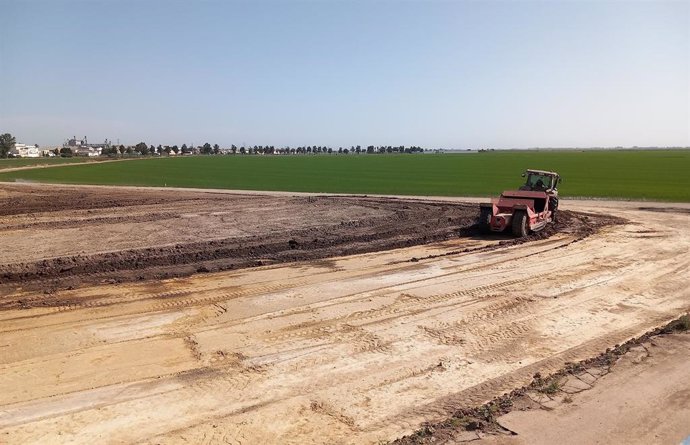 La CHG inicia la cimentación para la construcción de la nueva EDAR de Isla Mayor (Sevilla).