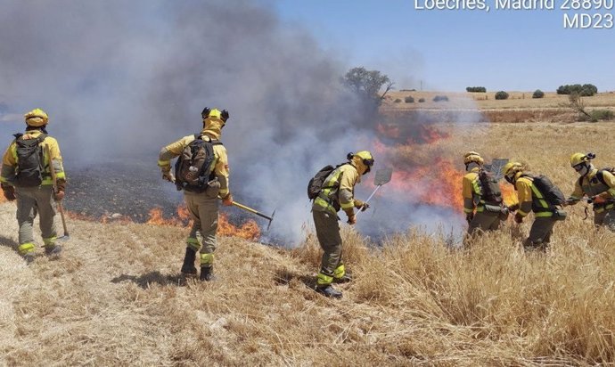 Un incendio arrasa una zona de pastos de Loeches