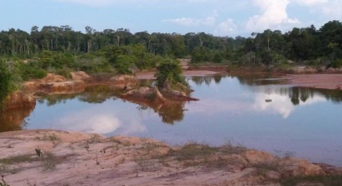 Efectos de la minería en la selva