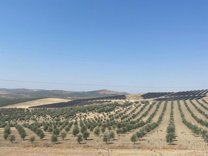 Terrenos pertenecientes a la Comunidad de Regantes Santa María Magdalena