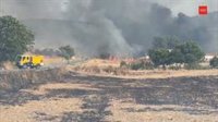 Continúa en fase de control el incendio de Loeches (Madrid), que ha obligado a desalojar a 60 personas
