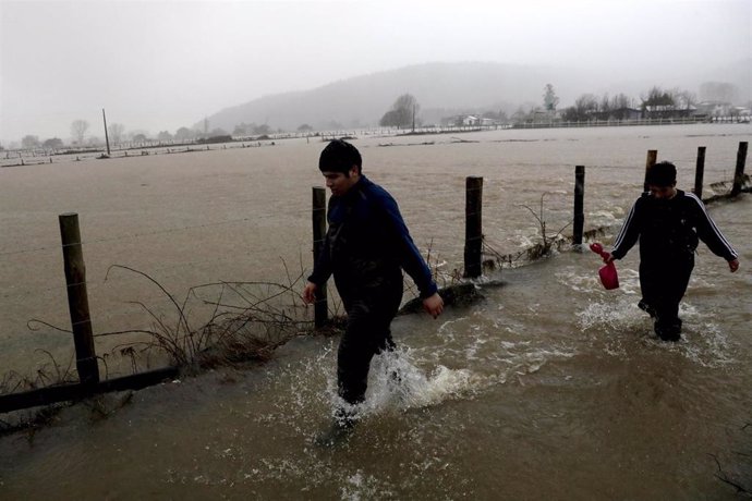 Archivo - ARAUCO, June 15, 2024  -- People wade through flood water in Arauco, Biobio region, Chile, June 13, 2024. Chile on Thursday declared a swath of the country, including the capital, a disaster zone after a storm left one person dead and displaced 