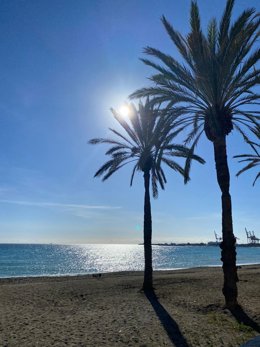 Archivo - Playa de Andalucía.