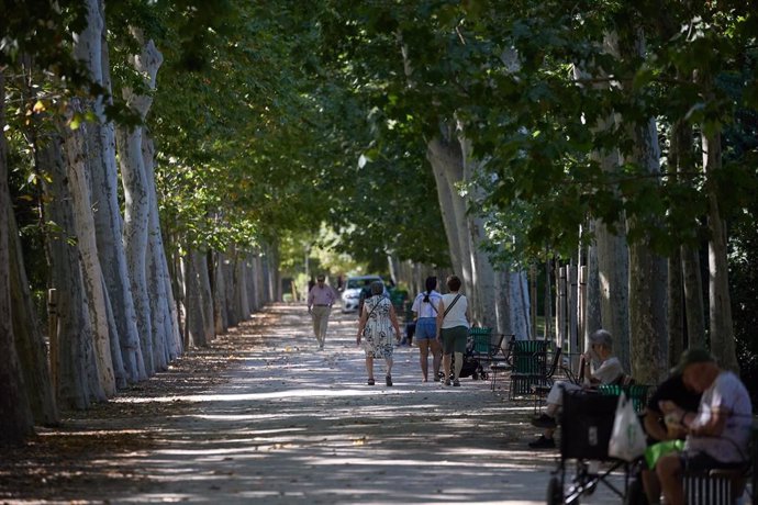 Vista general de una de las zonas del Parque de El Retiro durante una segunda ola de calor, a 23 de julio de 2024, en Madrid (España).