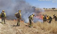 El Seprona investiga a 4 personas por el incendio de Loeches, que comenzó por la chispa de una cosechadora