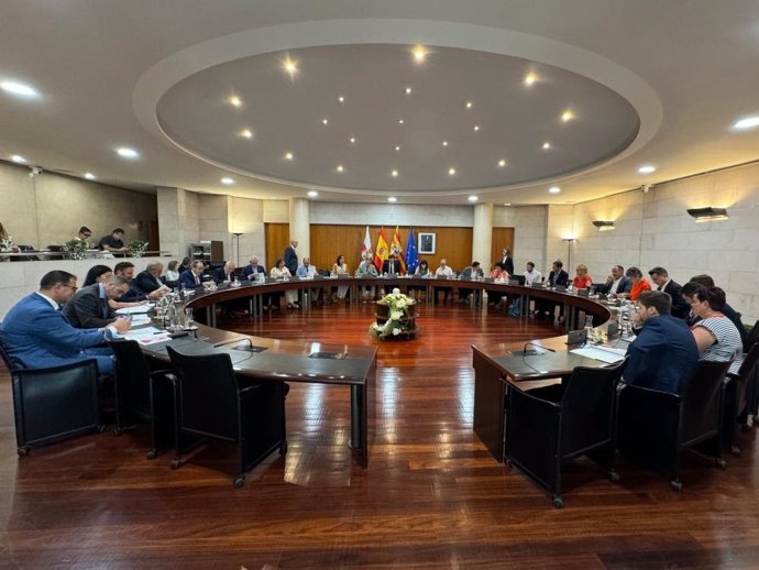 Reunión del Pleno de la Diputación de Huesca este jueves.