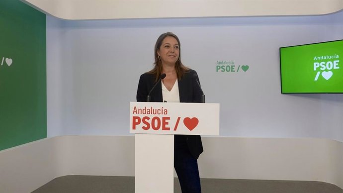 La portavoz adjunta del Grupo Socialista y portavoz del Gobierno alternativo de este partido, Isabel Ambrosio, imagen de archivo. 