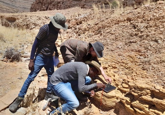 Los investigadores examinan evidencia de fósiles de animales, que tienen alrededor de 550 millones de años, en el trabajo de campo en Namibia.