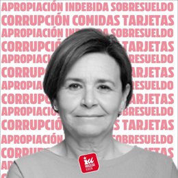 Campaña de IU Mocedá en la que acusa a la alcaldesa de Gijón, Carmen Moriyón, de apropiación indebida y otros cobros.
