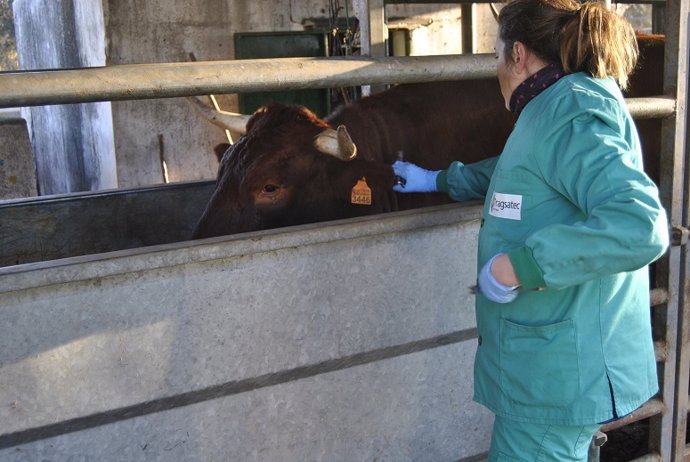 La atención de animales de renta continúa aportando la mayor parte del volumen de negocio sectorial, algo más de las dos terceras partes.