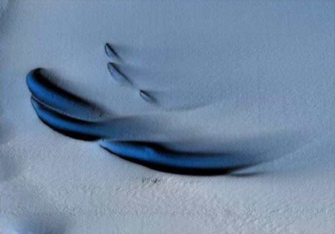 Una de las imágenes capturadas de la parte inferior de la plataforma de hielo.