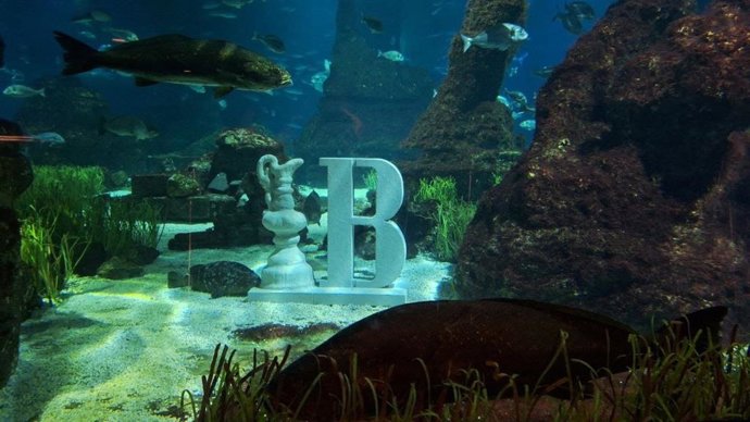 Unidades de regeneración instaladas en la pecera central de L'Aqurium de Barcelona.