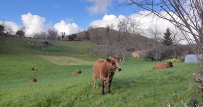 Asturias Rural