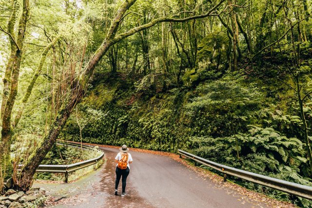 Paisaje La Palma