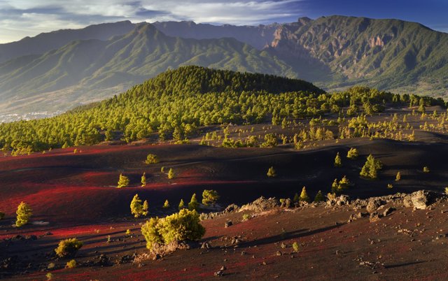 Paisaje La Palma