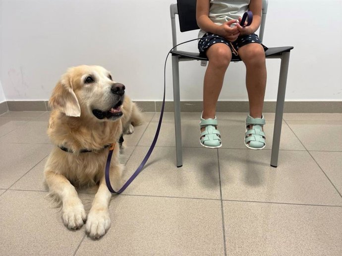 La Generalitat impulsa un proyecto con perros para acompañar a niños en procesos judiciales
