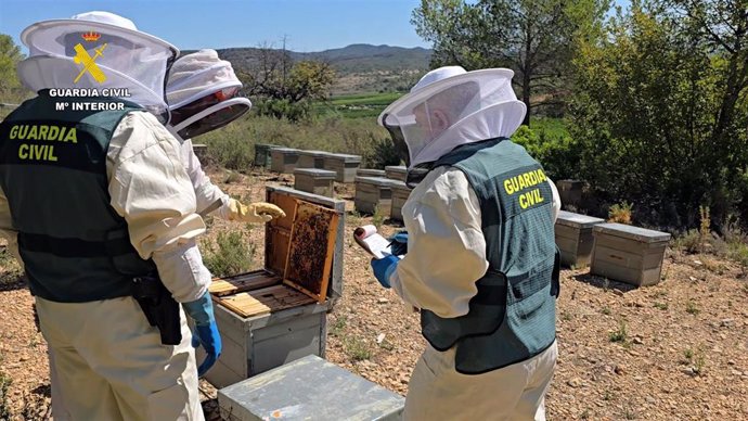 La Guardia Civil investiga a 11 personas por comercializar más de 40 toneladas de miel ecológica contaminada de China