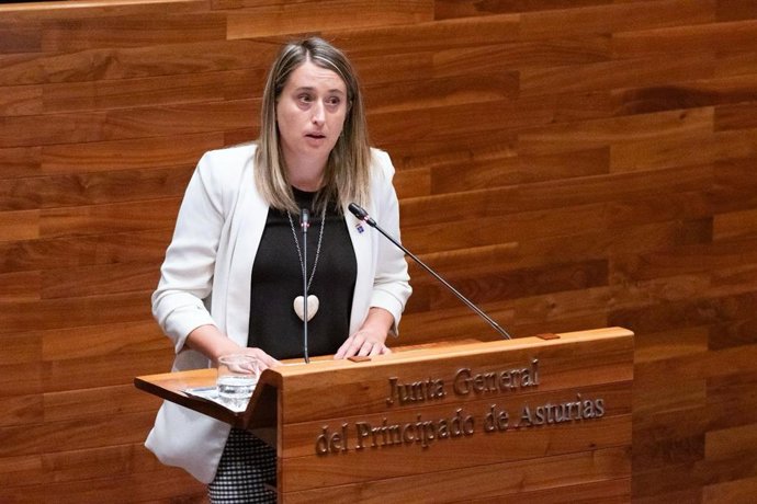 La diputada del PP  en la JGPA, Cristina Vega.