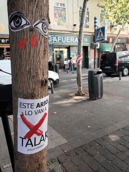 No a la tala de árboles