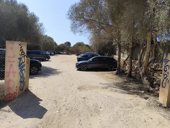 Aparcamiento ilegal de Cala Sa Nau repleto de coches pese a haber decretado el Consell su cierre