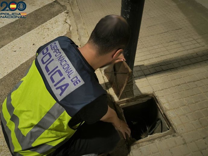 Policía Nacional. Agente. Alumbrado Público. Palma