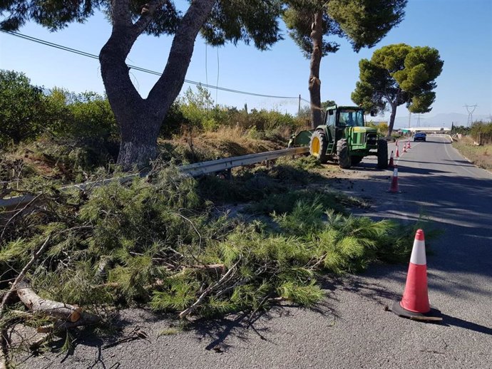 Para las labores de limpieza se ha utilizado un tractor segador, una desbrozadora portátil y poda manual
