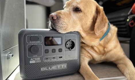 Comunicados Internacional