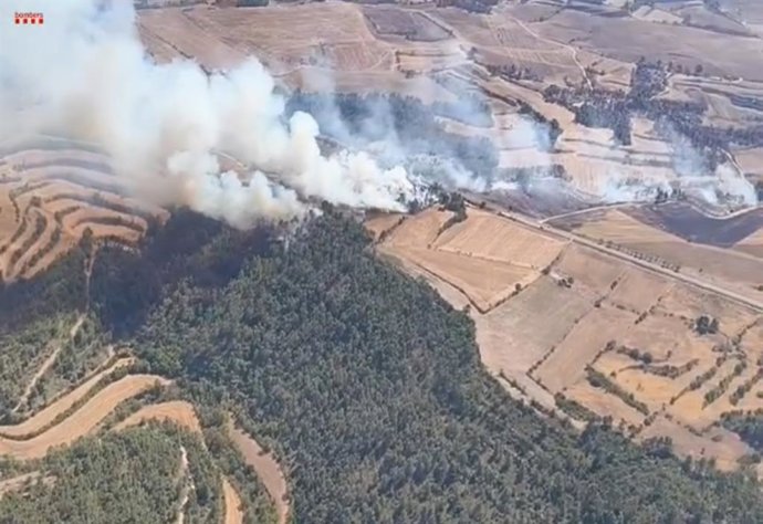 Imagen del incendio forestal en Ciutadilla (Lleida), a 4 de agosto de 2024