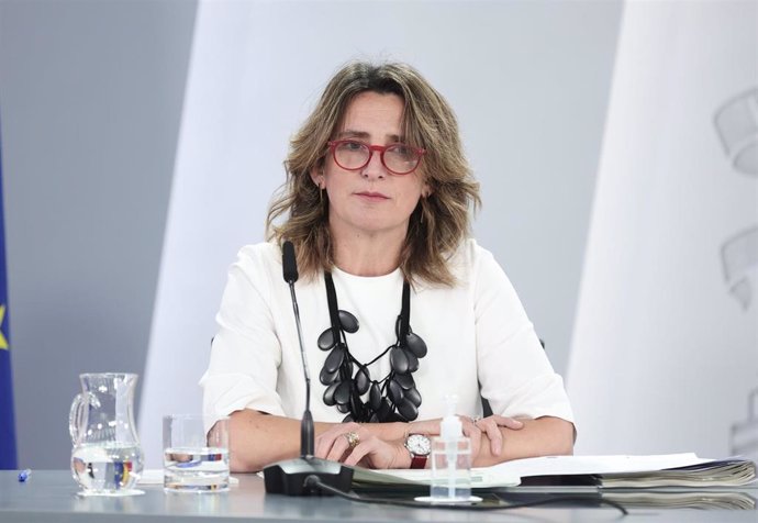 Archivo - La vicepresidenta y ministra para la Transición Ecológica y el Reto Demográfico, Teresa Ribera, en una rueda posterior a una reunión del Consejo de Ministros, en el Palacio de Moncloa, a 21 de diciembre de 2021, en Madrid, (España). Durante la c